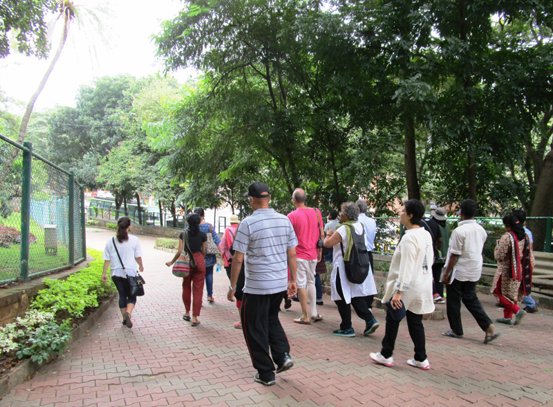 Participants Stroll through Harihara Gudda
