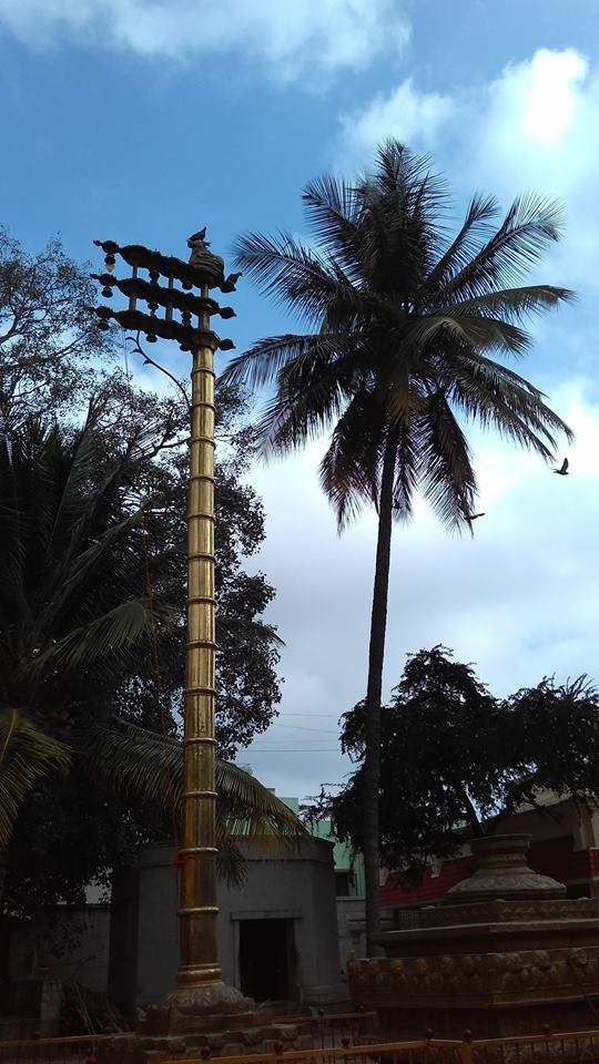 Surrounded by history