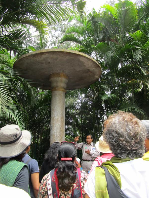Harihara Gudda: Under the Stone Umbrella